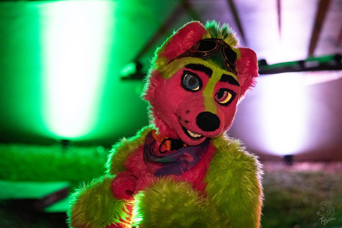 fur_nerox's tweet photo. Can I have some pats?🥺👉👈

📸 @TysonYeen 
📍 #GLC12
#FursuitFriday https://t.co/8dIeGV3Nv2