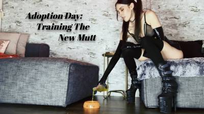 CultOfMila's tweet photo. NEW CLIP: Adoption Day: House-Training The New Mutt #petplay #puppyplay #obedienceTraining #femdom #discipline #houseTraining https://t.co/VK7nEjXZMz https://t.co/NVLDvTB6m8