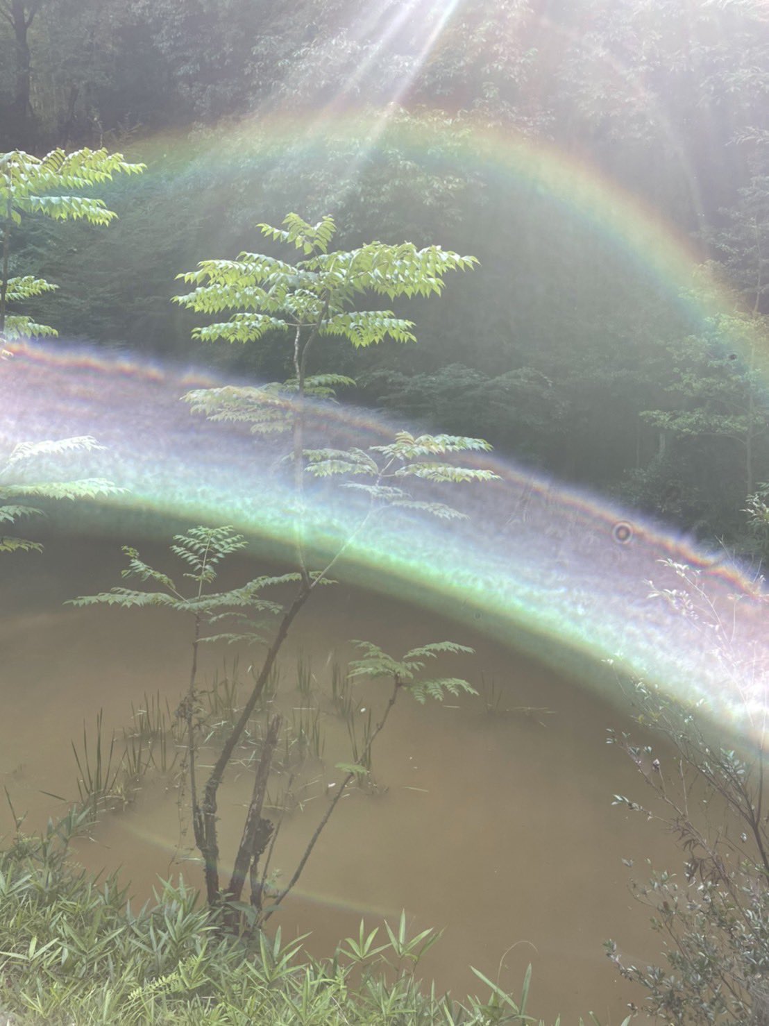 つ ぐ み Titan 破磐神社の龍神様 鱗まで写ってるぅぅぅぅ 波長が合うと写るし 写しちゃダメな時はシャッターおりないらしい あたしもまた撮りに行ってみようかな 破磐神社 龍神様 T Co M61npuenjw Twitter