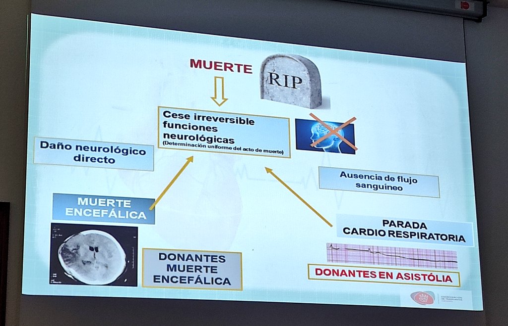 María de los Ángeles Márquez coordinadora de Transplantes de Extremadura 
📌 Nos habla de los diferentes tipos de donantes.
📌 Y nos hace hincapié en que formas de morir "solo hay una".
#enfermeraquirurgica