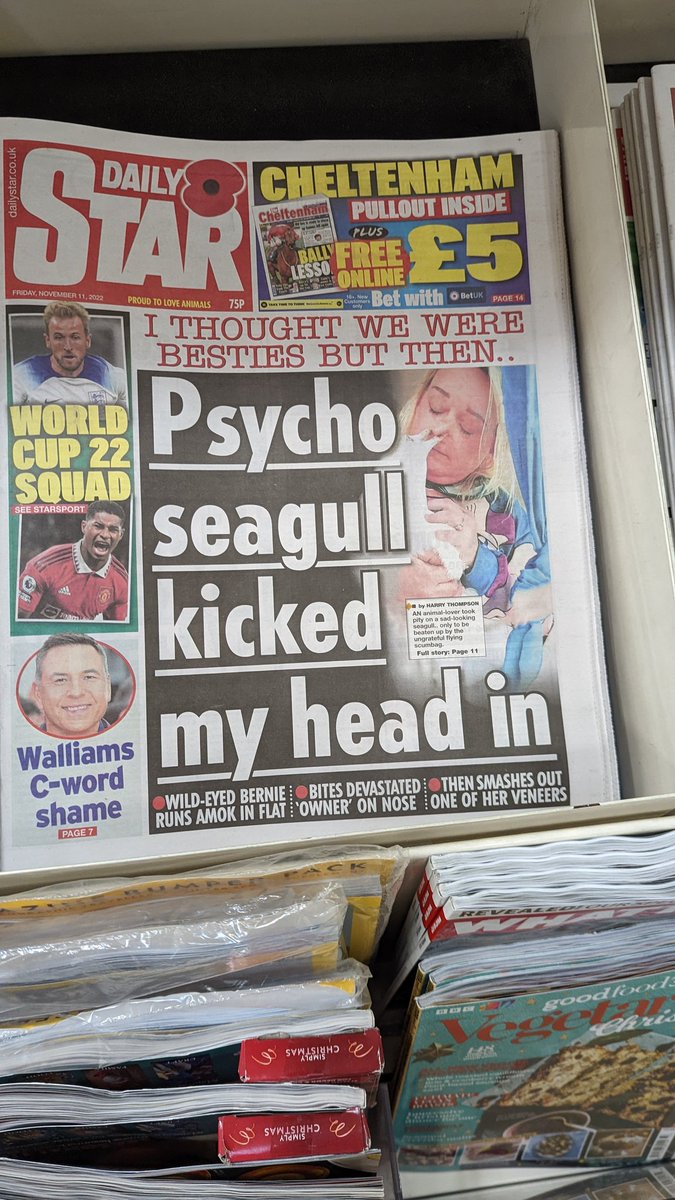 stuheritage's tweet photo. Newspaper headlines that can be sung to the Teenage Mutant Ninja Turtles theme tune https://t.co/jNVGnWtHEG