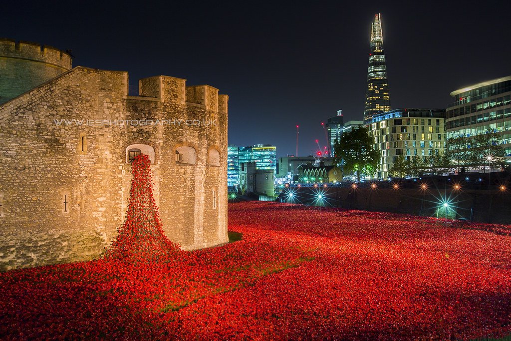 They shall grow not old, as we that are left grow old: Age shall not weary them, nor the years condemn. At the going down of the sun and in the morning,

We will remember them.