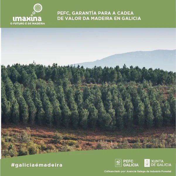 GaliciaPefc's tweet photo. Miles de #propietarios #forestais galegos, xa se sumaron á certificación PEFC, permitíndolles proporcionar garantías de que xestionan os seus montes de forma #sostible. PEFC adáptase a todos, con diferentes modalidades de certificación: individual, grupal ou rexional. #XERAsavia https://t.co/7oRpdb4Fgj