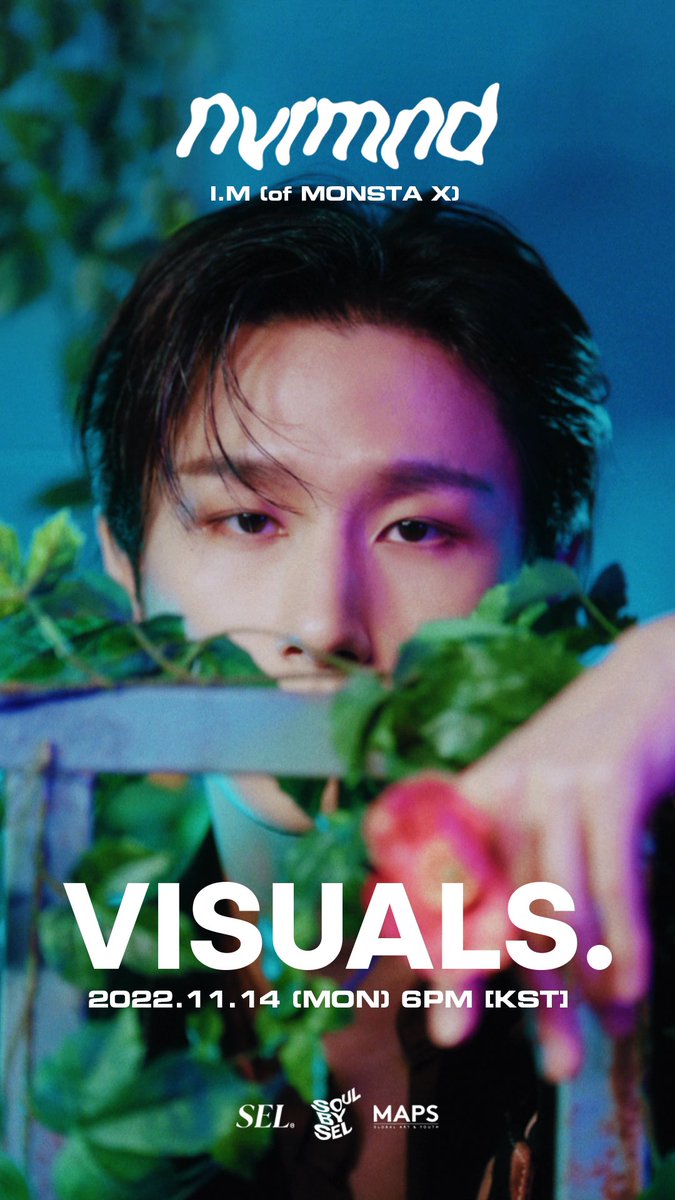 실제로 우리동네 길고양이가 이러고 날 바라봄