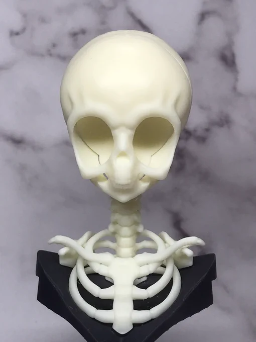 フィギュアの顔を作る時は骨格から作っています。まずは正確なアニメ顔の頭蓋骨を作り、大きな瞳を再現した目玉を作ってはめていきます。それからやっと顔の皮膚を肉付けして顔の造形です。そして髪の毛をつけて出来上がり。…嘘ですw 