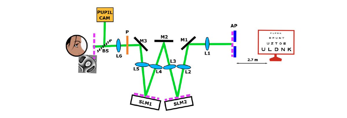 NEW <a href="/Lo_um/">Laboratorio ÓpticaUM</a> @umu research paper just published (open access) in the journal Optical Engineering!

"Vertical-aligned liquid crystal devices for ocular wavefront correction and simulation"

spiedigitallibrary.org/journals/optic…

<a href="/SPIEtweets/">SPIE</a> <a href="/AgEInves/">Agencia Estatal de Investigación</a> <a href="/CaixaResearch/">CaixaResearch</a>