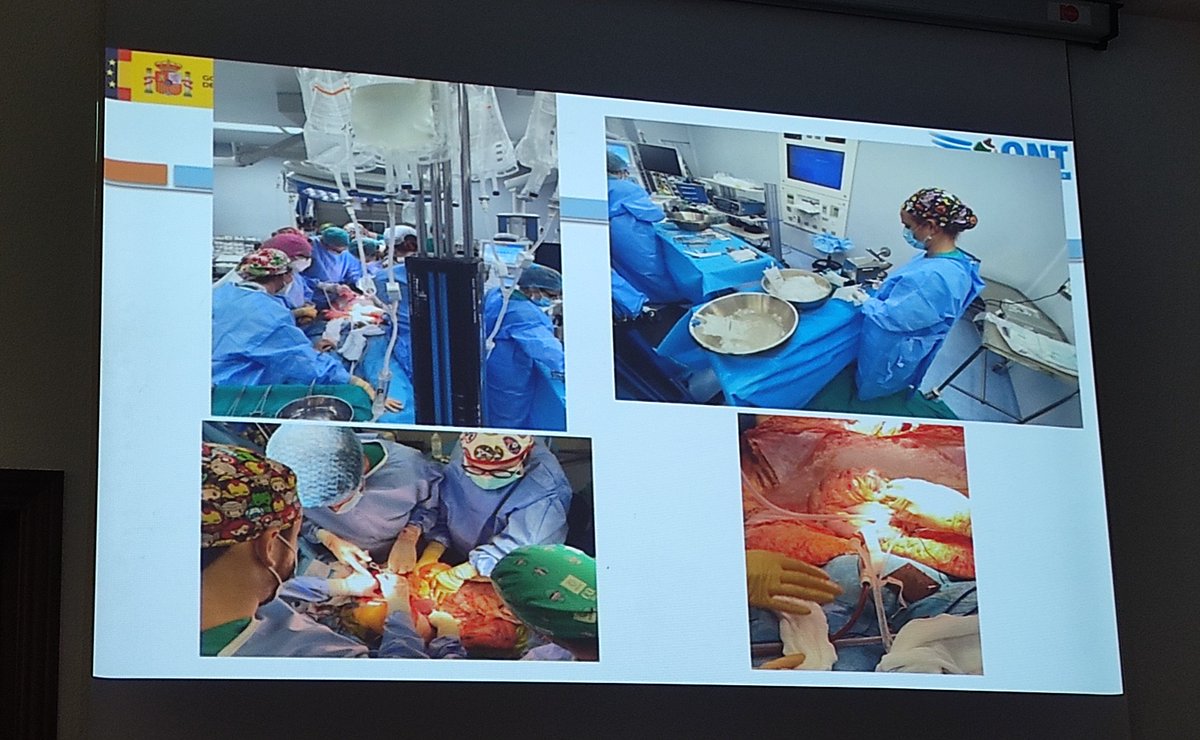 María de los Ángeles Márquez 
📌 Continúa hablando del papel de las Enfermeras Quirúrgicas en las donaciones.
📌 Pieza clave en la gestión y coordinación.
📌 Garante de la seguridad y calidad del proceso quirúrgico. 
#enfermeraquirurgica