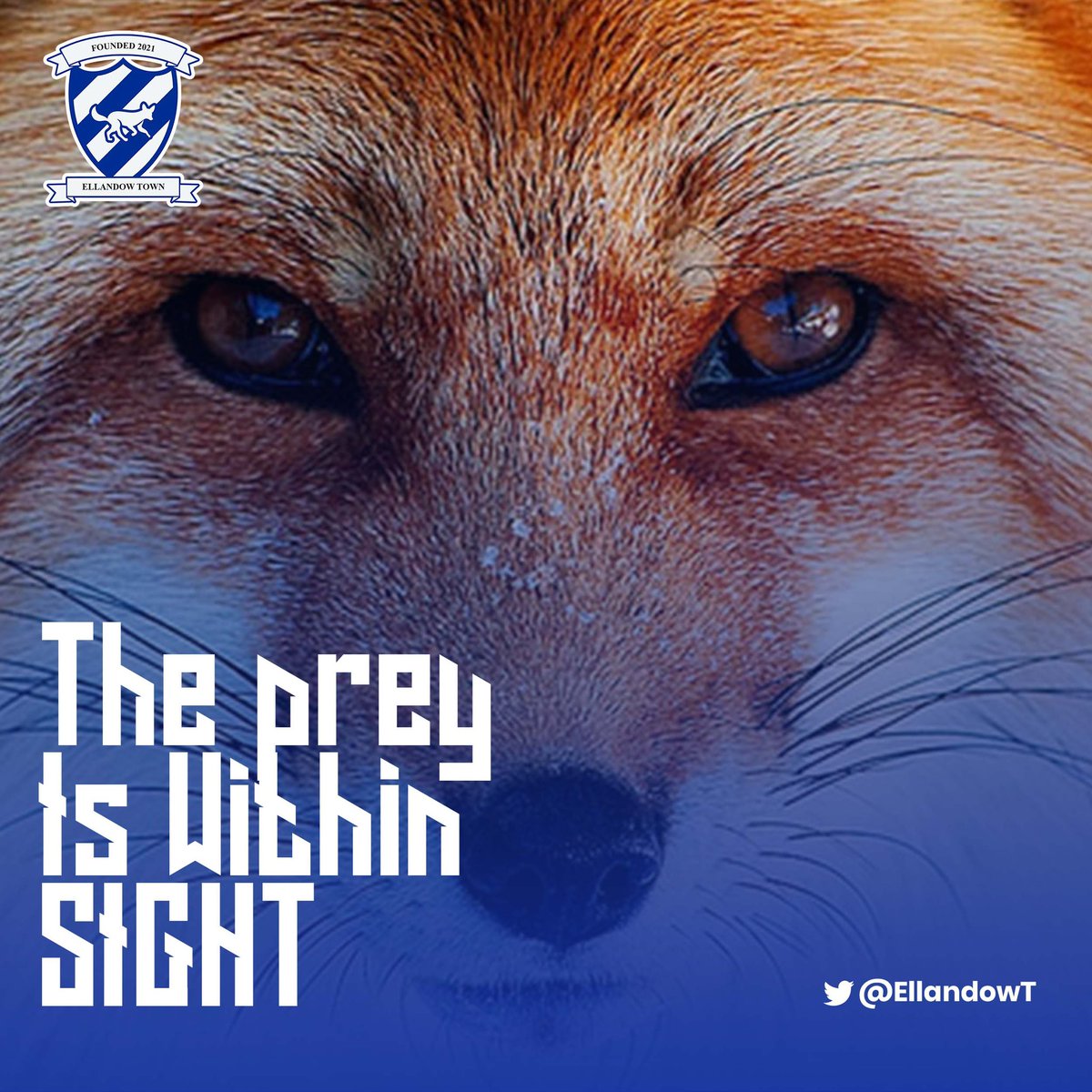It gives us displeasure to announce that our matchup against Wooket Brin’s has been postponed indefinitely due to stormy weather.

The prey is still within our sight. Stay tuned for more news on the new match date.

Up the Foxes 🦊 
#footium #ellandowT