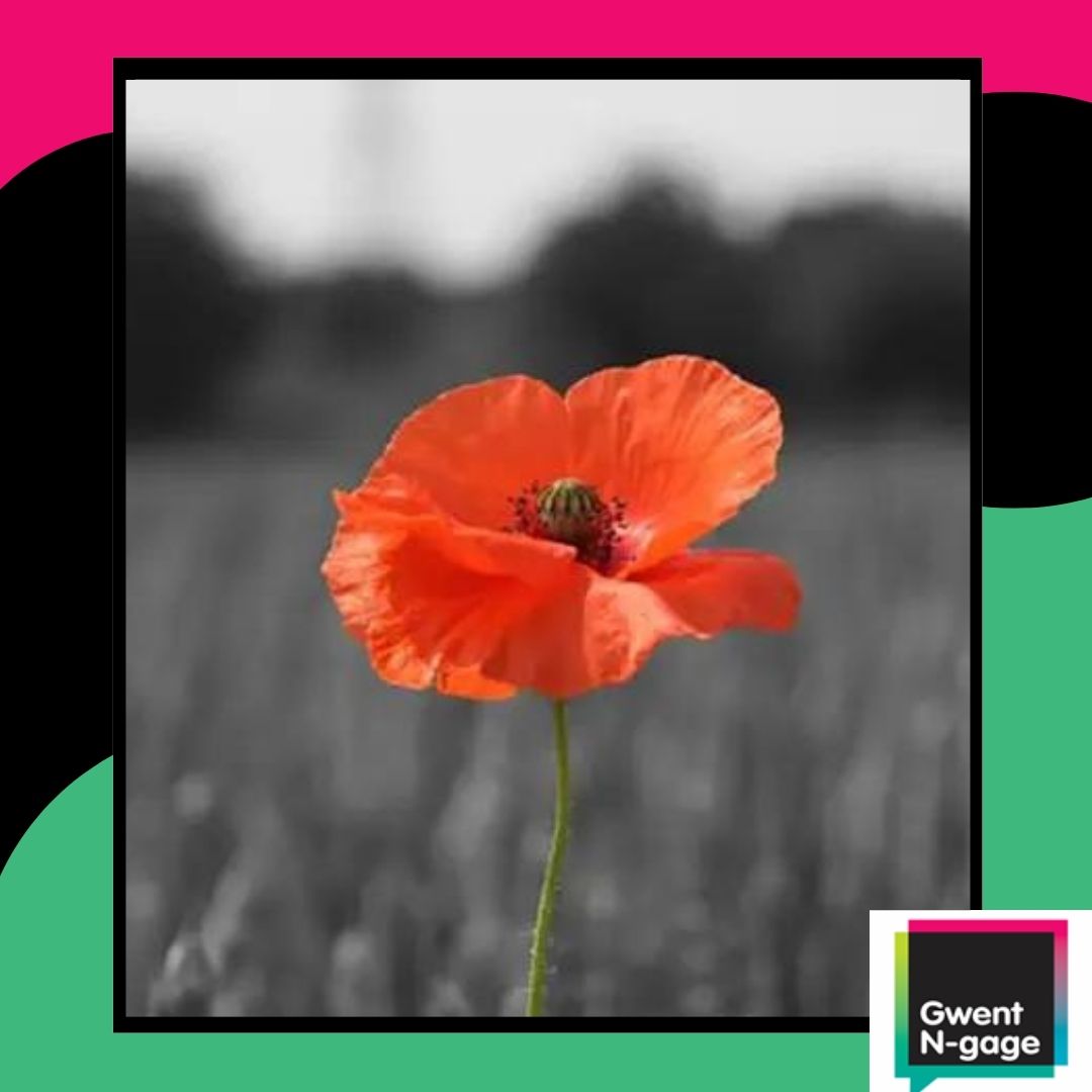 We will remember them.

#RemembranceDay #LestWeForget ❤️