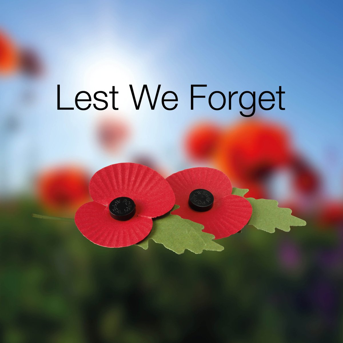 Lest we forget 💮

Today, November 11th, at 11 a.m., observe a two-minute silence in honour of all those who made the ultimate sacrifice to protect our freedom.

#LestWeForget #WeWillRememberThem #RemembranceDay #Remembrance #ArmisticeDay