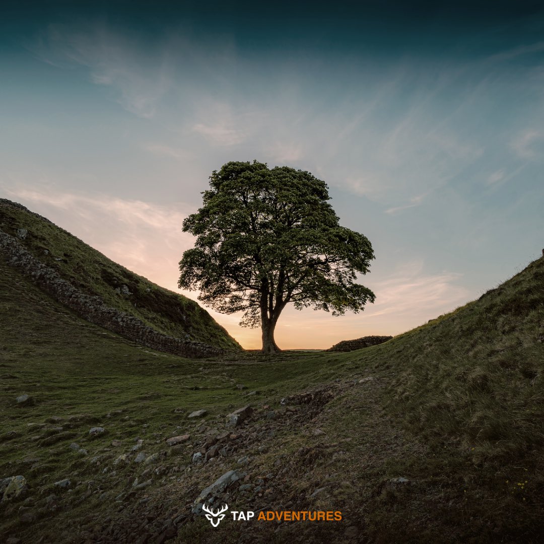 TAP Adventures tweet media