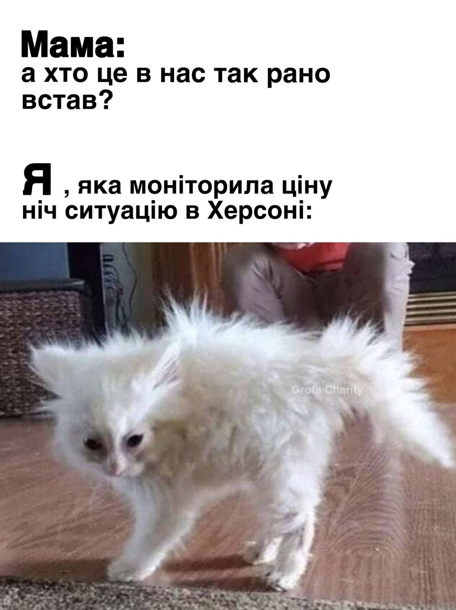 Що там по ситуації в #Херсон ?

Накидає трішки в коментарях інофрмації 
 #Херсонщина #ХерсонцеУкраїна