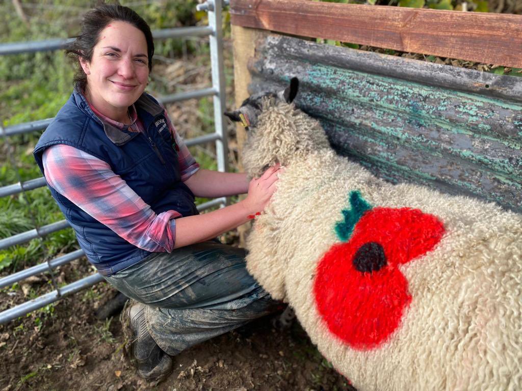 Eyebrook_Birds's tweet photo. Some of our sheep are raising the Baa by sporting colourful poppies for Remembrance Day.

Make a ewe turn to see them by the shop at Rectory Farm, or grazing in our field on the main Corby to Uppingham Road (by Rockingham Station)

#poppywearingsheep #remembranceday  #remembrance https://t.co/S91MShwS18