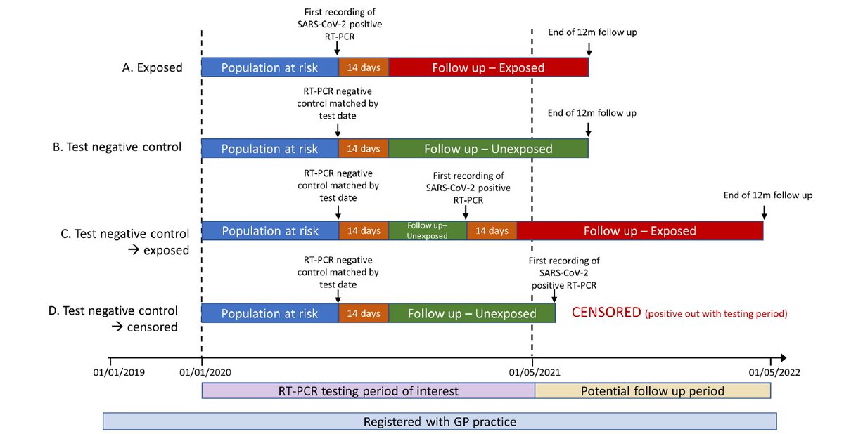 Olivia Swann tweet media