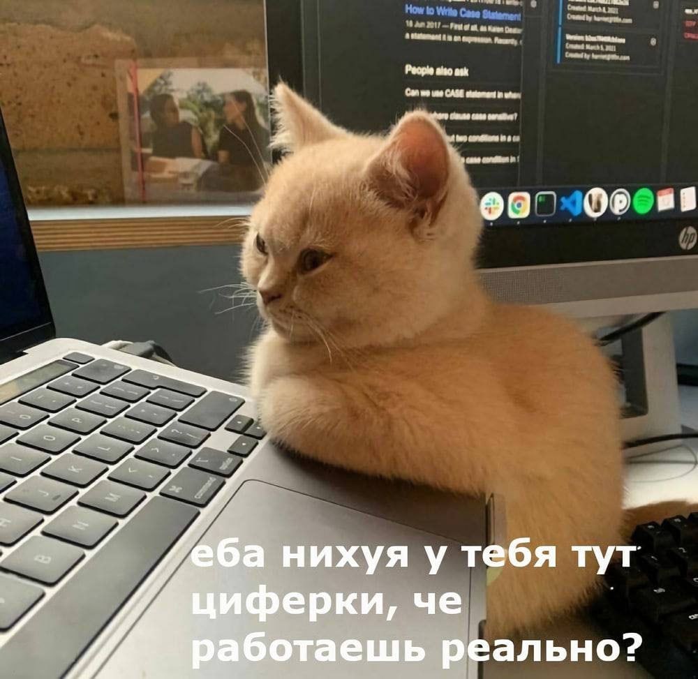 RussianMemesLtd's tweet photo. Holy fuck you have numbers here,
do you really work? https://t.co/xNo3rj8cCj