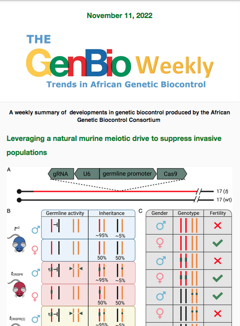 AfriqueGeneBio's tweet photo. Tenez-vous au courant des derniers développements en matière de biocontrôle génétique en lisant et en vous abonnant à notre dernière lettre d'information hebdomadaire qui paraît chaque vendredi. 

Voir le bulletin d'information : https://t.co/uHKiuO0lh2

#GenBioWeekly https://t.co/1AYEQkXt2x