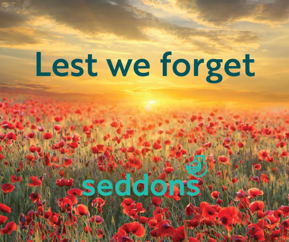 On the 11th hour, of the 11th day of the 11th month we remember all those who have fallen.❤️

#RemembranceDay2022 #armisticeday #poppies #RemembranceDay #LestWeForget