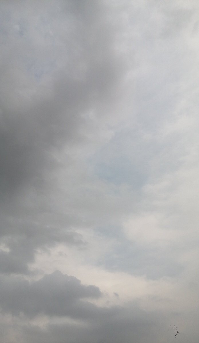 dev__km's tweet image. الجو مال شنو 🙄 ☁️

#بغداد