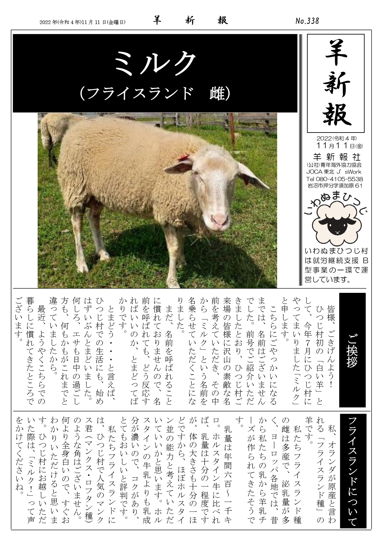 岩沼の羊飼い в X: „【羊新報】 初めましてフライスランドの