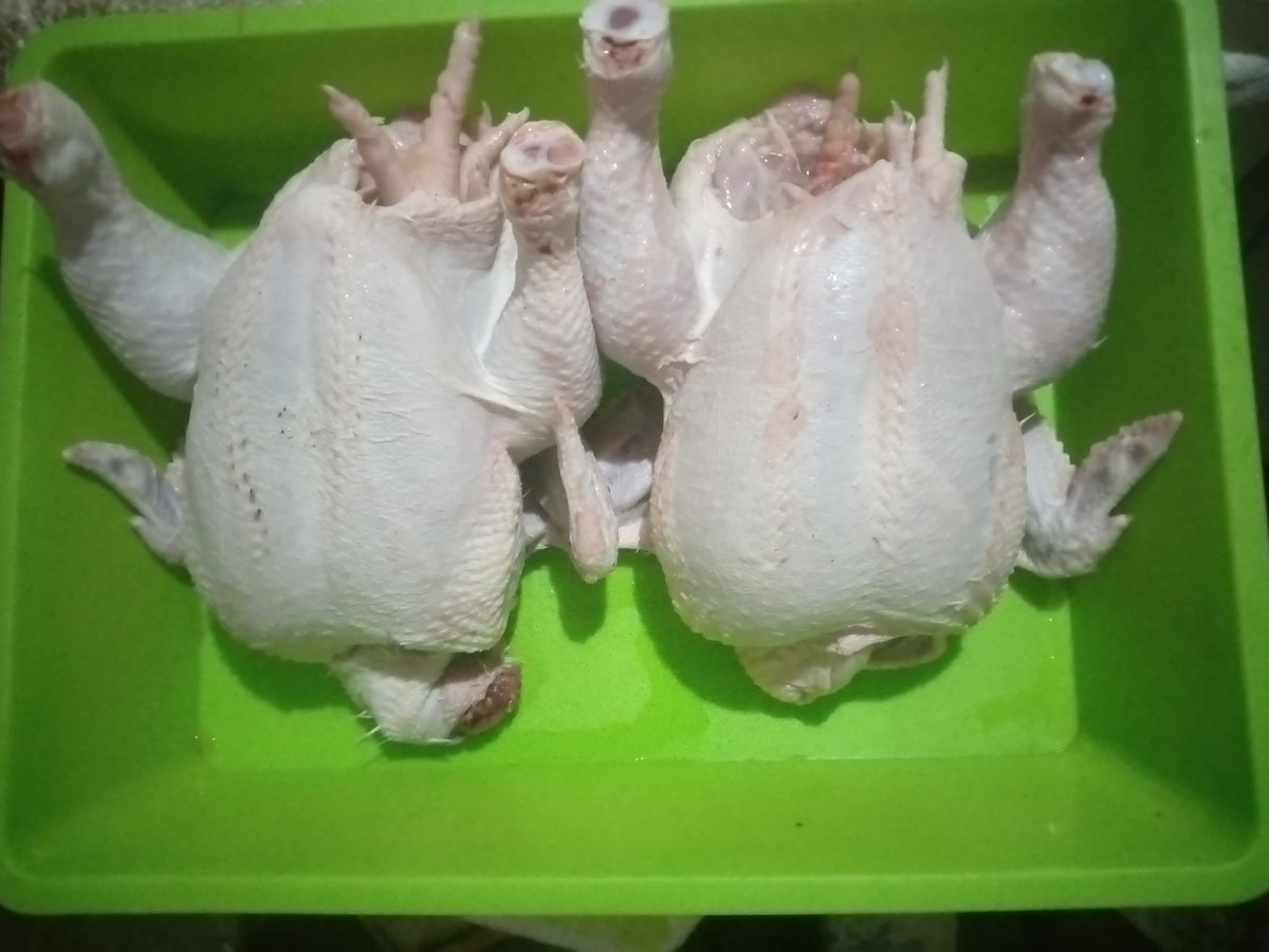 Apecc9's tweet photo. Area 25
Lilongwe
Good broiler chicken 
@Mk5,500 https://t.co/pGFaErixfF