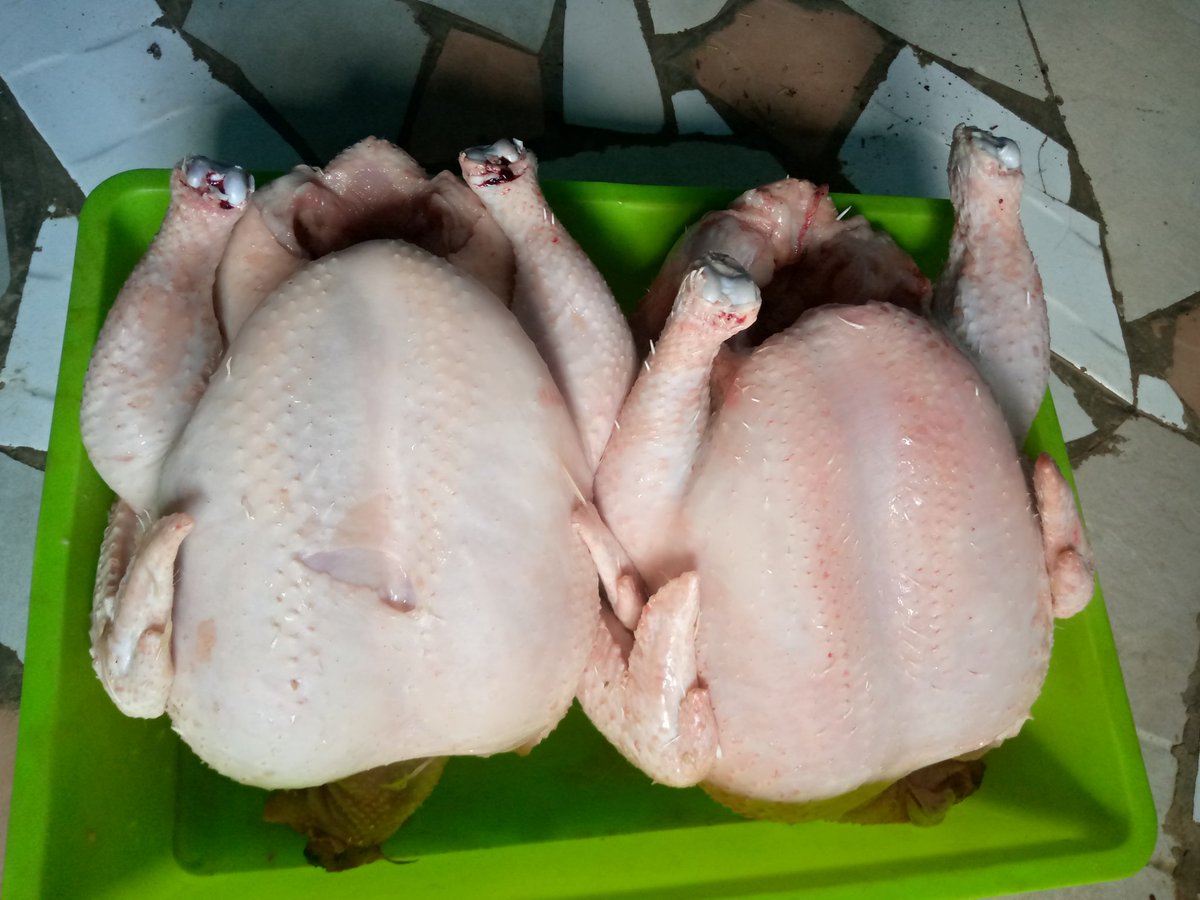 Apecc9's tweet photo. Area 25
Lilongwe
Good broiler chicken 
@Mk5,500 https://t.co/pGFaErixfF