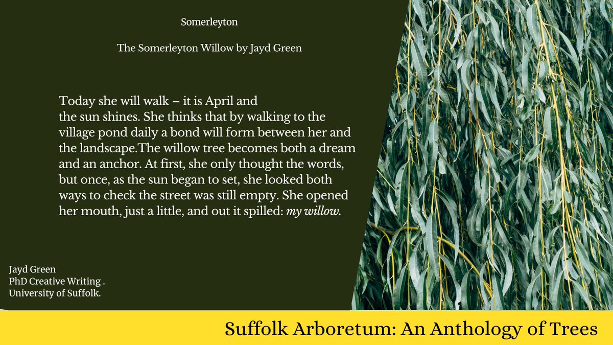 University of Suffolk English tweet media