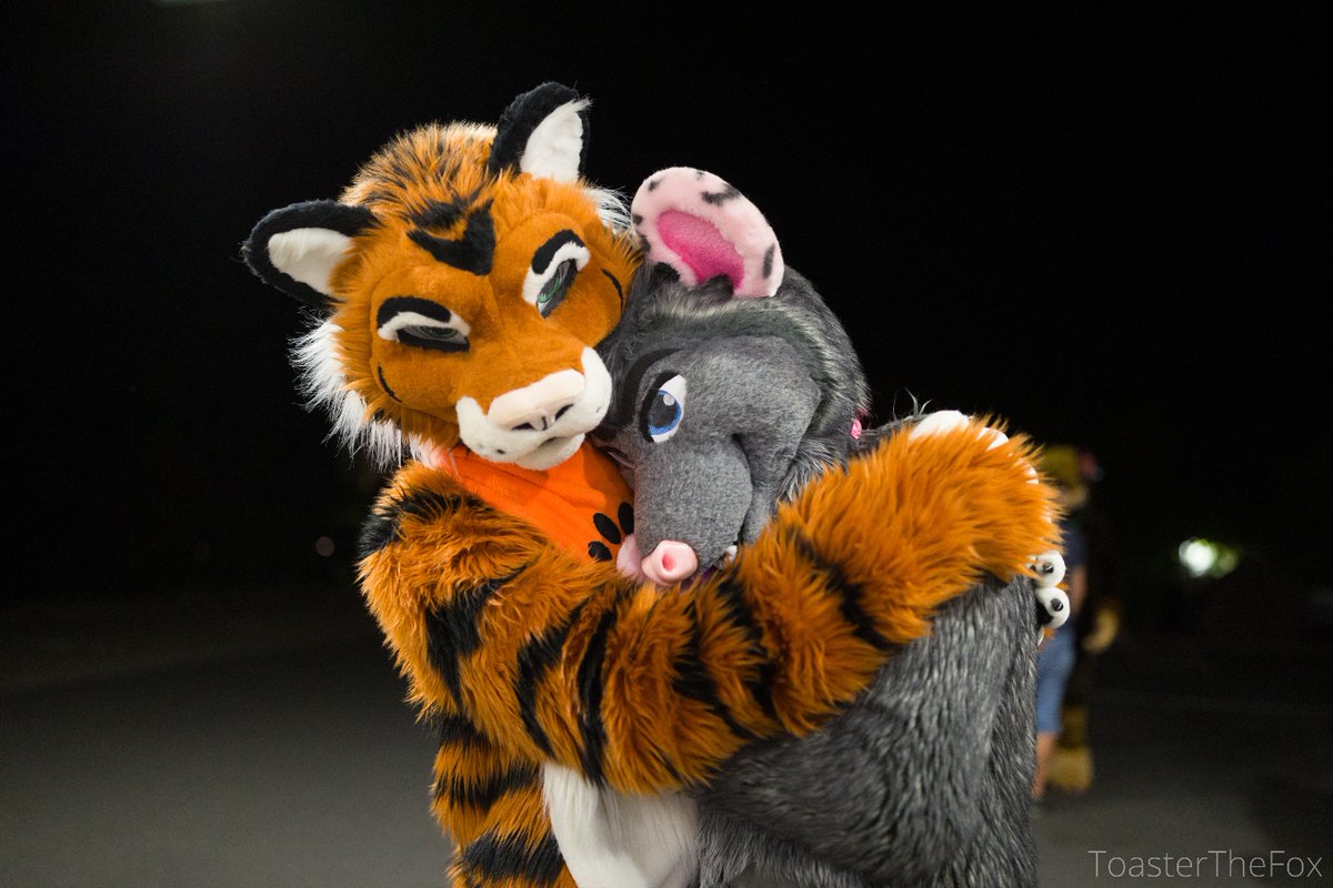 Just look at how well Tiberius and Ozzie seem to be getting along at EAST on this #FursuitFriday

🪡<a href="/AlphaDogsStudio/">Alpha Dogs</a>