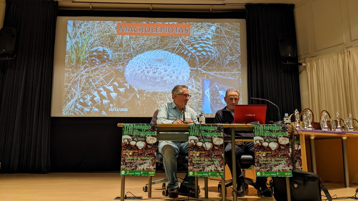 Cantharellus1's tweet photo. Ayer disfrutamos de la última ponencia de las XXVII Jornadas Micológicas del Bierzo, a cargo de Germán Salgado Velasco, sobre el género 'Macrolepiota'. 

¡Luego pudimos ver algunos ejemplares en la exposición en la Casa de la Cultura del @AytoPonferrada! https://t.co/Ndac7S5wOr