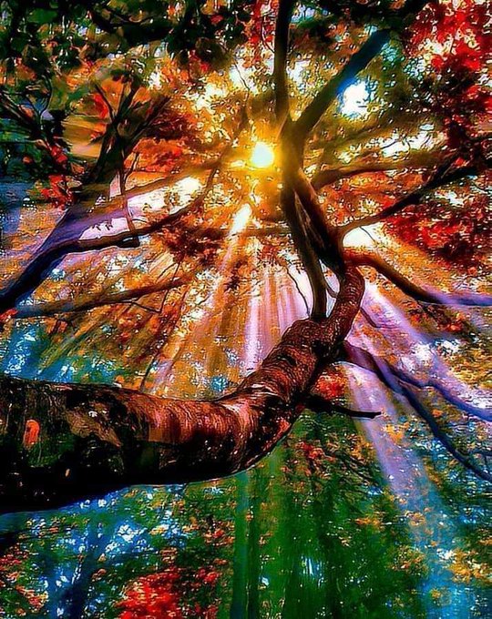 #naturelovers