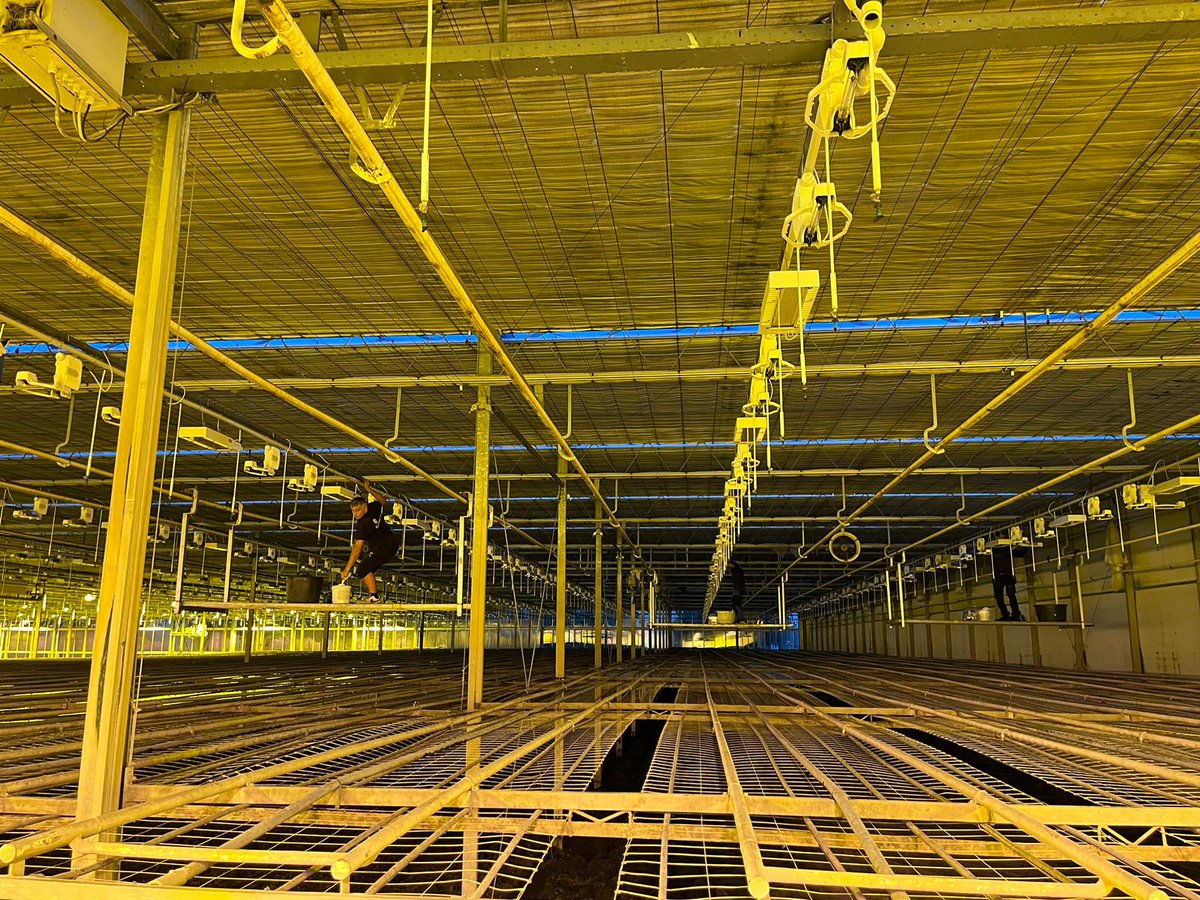 LightshineMB's tweet photo. Alle LED armaturen, reflectoren en bollen zijn weer in top conditie,bij lugt lisianthus #optimaal #rendement  https://t.co/QTdEVHbAi7 https://t.co/cf5oH12Anf