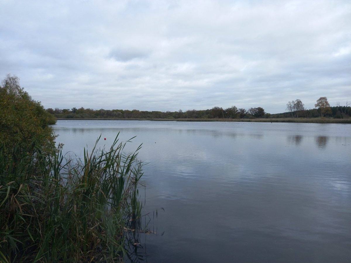 harris_sjh's tweet photo. First trip to #ThompsonWater following a week+ birding Spurn in strong south-westerlies (same as my Oct Spurn holiday). All change at Thompson - no Teal but 40 Shoveler(!) and the Wigeon are back in force. Should be a busy @WeBS_UK count this weekend! (+ 22 Coot). https://t.co/lsXLA8Mxs4