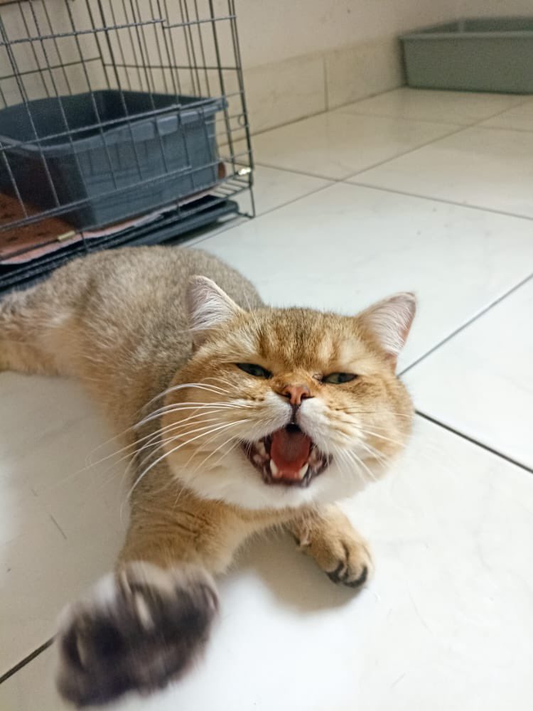 Bang Edi on Twitter "jalan abdul madjid no 9 cipete, jaksel, ke kantor