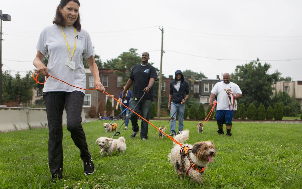 trustytailsdog's tweet photo. Our walks are one-on-one, so your pup will have our full attention. After each walk we send a detailed service report with photos, GPS-mapped route, and more https://t.co/36tcc7WWGa