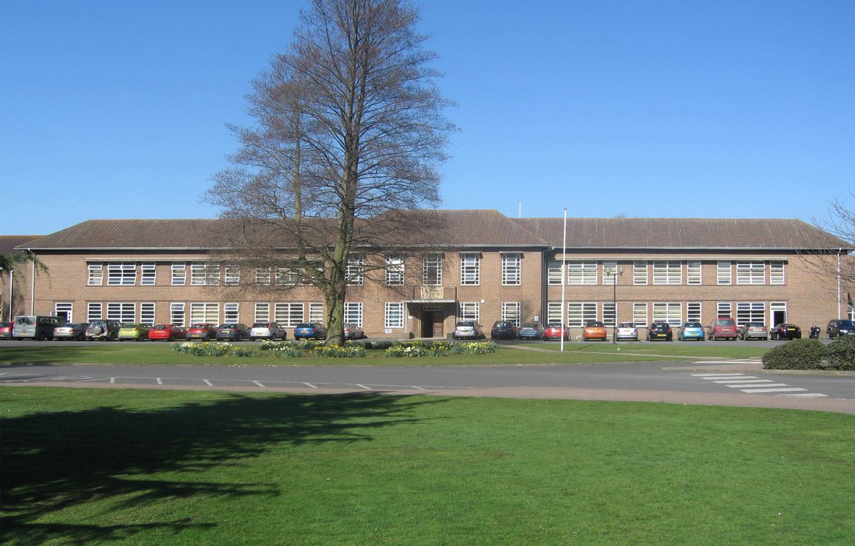 Roots 2 Success tweet media