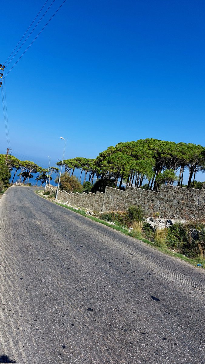 SONIAEIT's tweet photo. #morning #NaturePhotography #NatureBeauty #NaturePositive #naturelovers #GoGreen #GoBlue #savetheplanet #BeHappy 
#livelovelebanon #balamand https://t.co/cW5fFocpcN