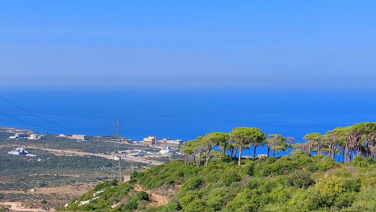 SONIAEIT's tweet photo. #morning #NaturePhotography #NatureBeauty #NaturePositive #naturelovers #GoGreen #GoBlue #savetheplanet #BeHappy 
#livelovelebanon #balamand https://t.co/cW5fFocpcN