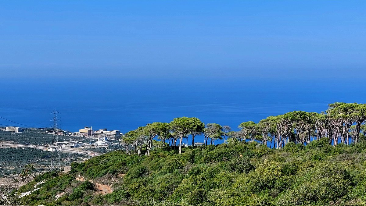 SONIAEIT's tweet photo. #morning #NaturePhotography #NatureBeauty #NaturePositive #naturelovers #GoGreen #GoBlue #savetheplanet #BeHappy 
#livelovelebanon #balamand https://t.co/cW5fFocpcN