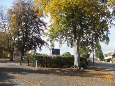 Roots 2 Success tweet media