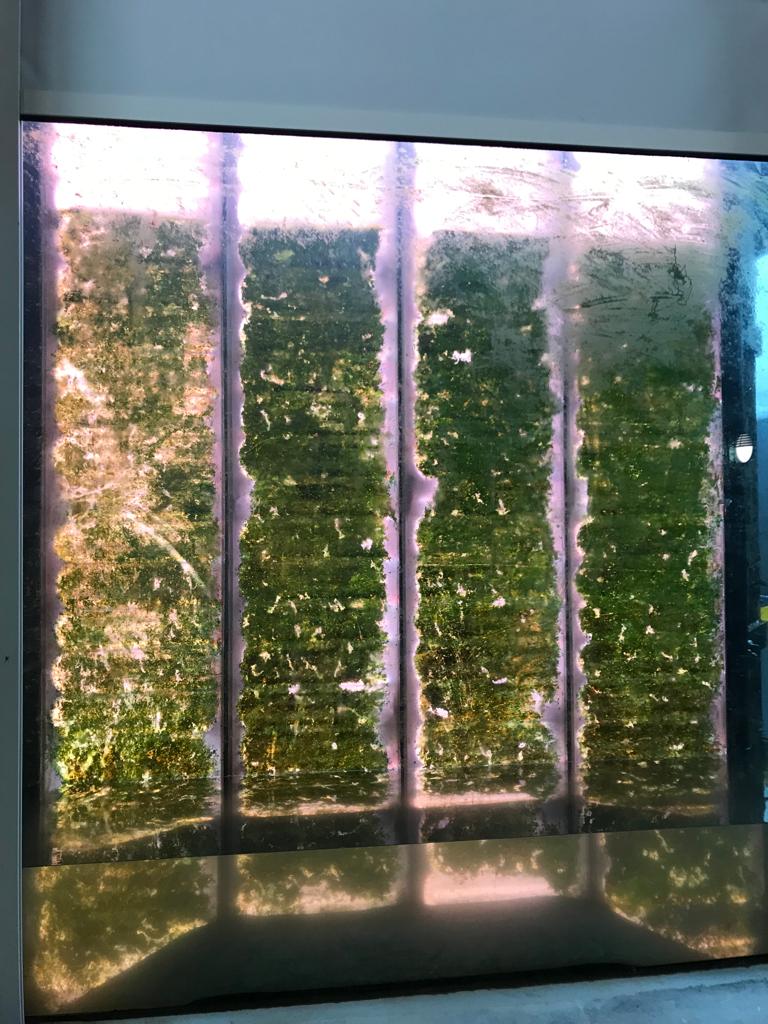 CRTWalesandSW's tweet photo. Over the year apprentice Aaron and 37 volunteers have cleaned the viewing window at the Diglis Fish pass and viewing gallery. They have enabled essential fish monitoring through the window and 6,500 visitors to see clearly into the #RiverSevern What stars! βπ @SevernUnlocked https://t.co/WrdK18t3Er