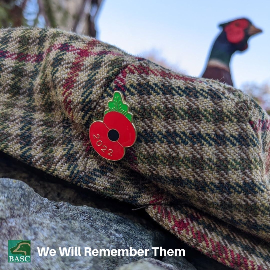 WE WILL REMEMBER THEM

They shall grow not old, as we that are left grow old:
Age shall not weary them, nor the years condemn.
At the going down of the sun and in the morning
We will remember them.

For the Fallen