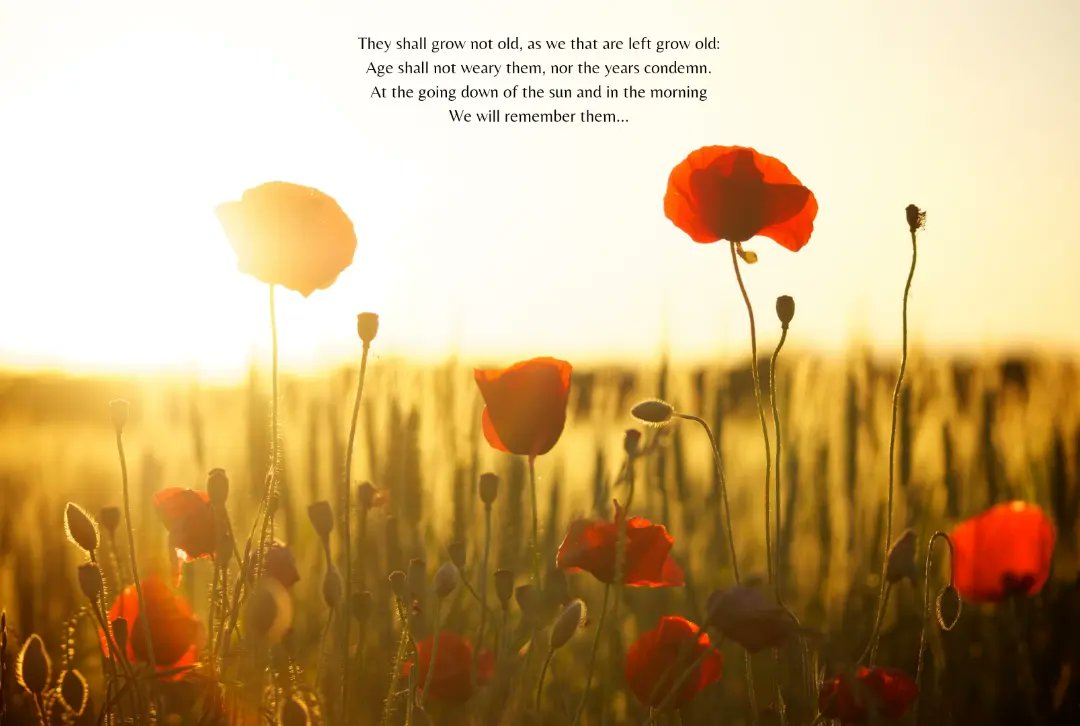 Today King Ethelbert School will join the nation in #twominutesilence to remember those who fought bravely all over the world. We will be selling poppies to raise money for the @royalbritishlegion so our staff and students can wear their poppies with pride. 🌹#lestweforget