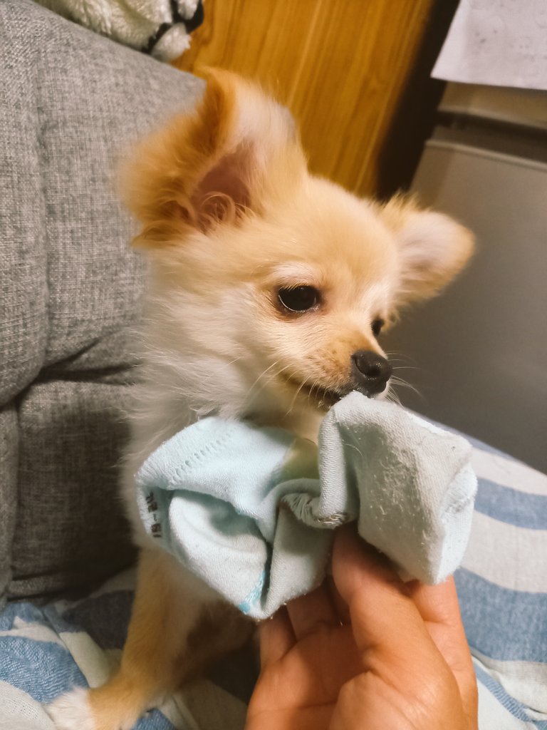 靴下好き Twitter Search Twitter 靴下好き Twitter Search Twitter