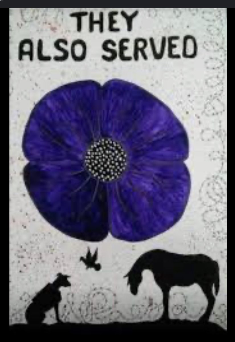 K9memorialUk's tweet image. #AnimalsOfWar #lestweforget #WeWillRememberThem
