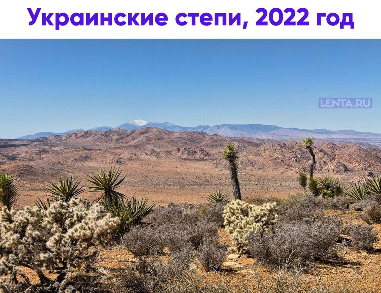 Пустыня Мохаве Калифорния