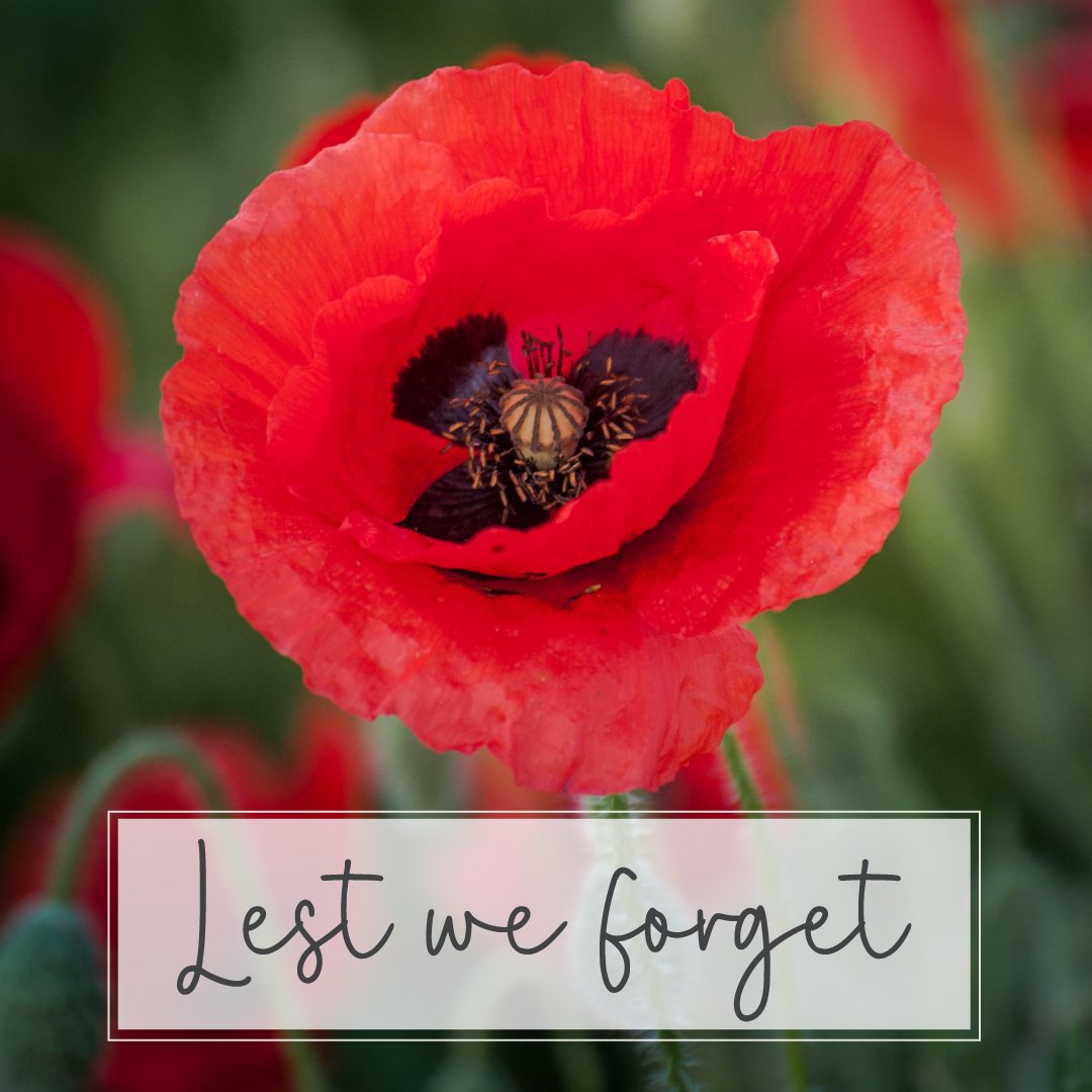 Lest we forget ❤️
#armistice #wewillremember #ThankYou #LestWeForget #PoppyDay #RemembranceDay #remember #NationalRemembranceDay #RedPoppy