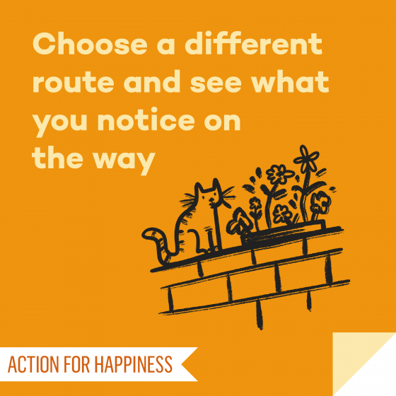 A4HNorthants's tweet photo. It's day 11 of #NewWaysNovember and today we invite you to choose a different route and see what you notice on the way.
#A4HNorthants #10Keys #northants https://t.co/0ZNnFrAaDY