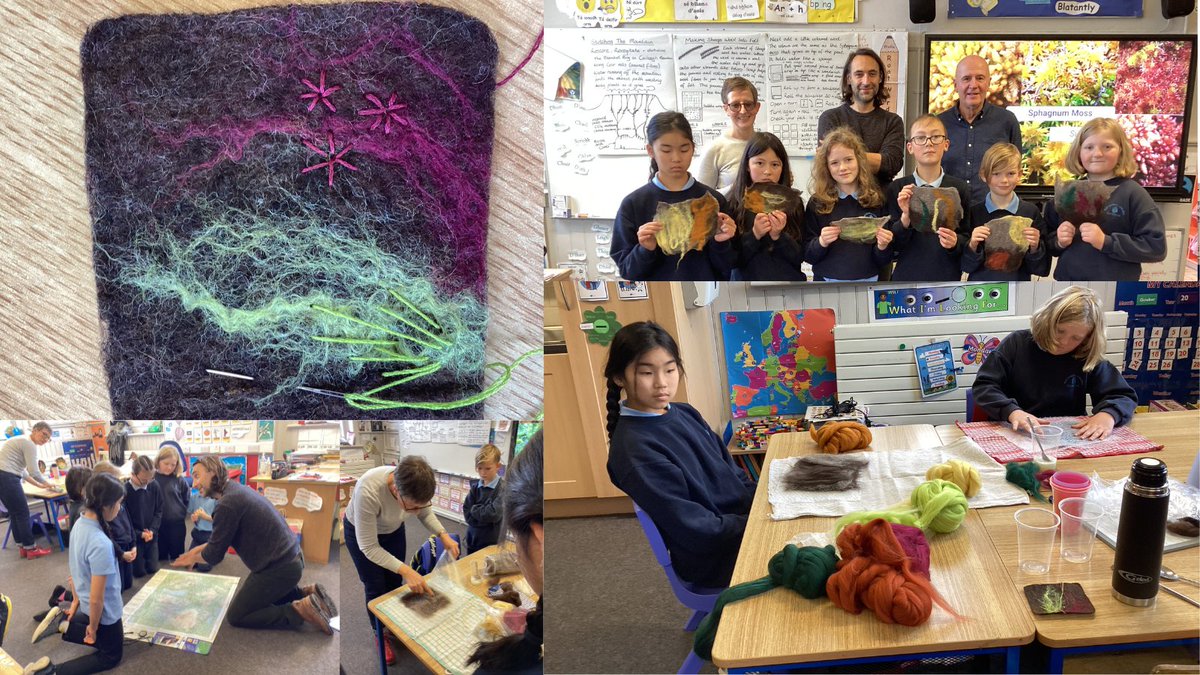 The CANN Project tweet media