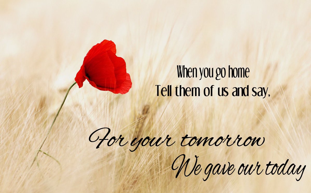 deborahchance6's tweet photo. #RemembranceDay https://t.co/TNKrXXpgpp
