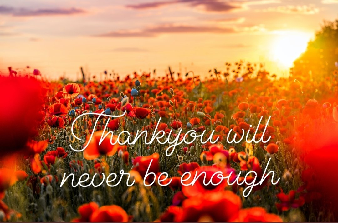skiggleuk's tweet photo. In honour of those who served and those who serve still ❤️
#RemembranceDay #remembranceday2022 #poppies #VeteransDay #Veterans https://t.co/qE6jTFscLA