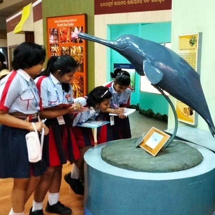 gdgoenkabbsr's tweet photo. A Field Trip to Regional Museum of Natural History was quite an experience for the children as they could make connections with concepts and built awareness on topics like migration, animal and bird habitats and adaptations. https://t.co/ju6OFXia7E